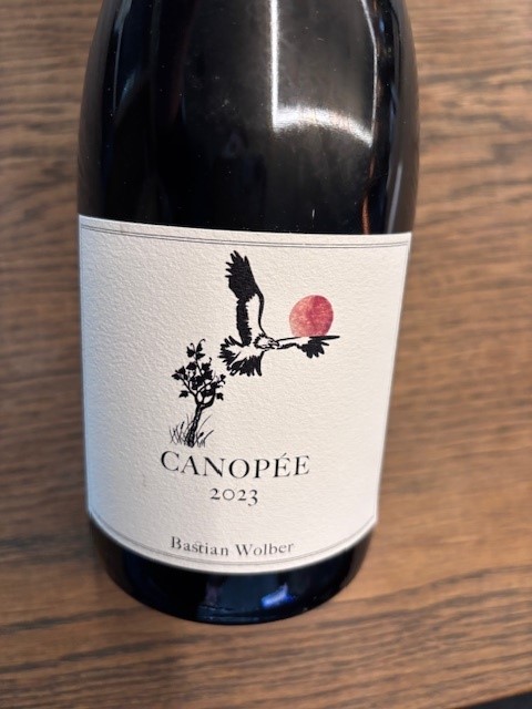 BASTIAN WOLBER CANOPE VIGNE TRAVAILLEES POMMARD VSIG 2023 ROUGE